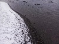 Всё чисто: сахалинские специалисты выехали в район севшего на мель китайского балкера, Фото: 3