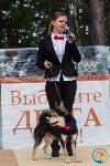 В рамках выставки беспородных собак в Южно-Сахалинске 8 питомцев обрели хозяев, Фото: 169