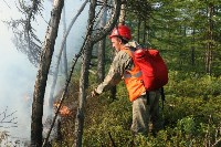 Ответственность за ликвидацию пожаров будут нести главы районов Сахалинской области , Фото: 2