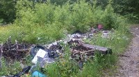 Окрестности кладбища Южно-Сахалинска усыпаны мусором, Фото: 1