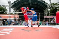На Сахалине отметили международный день бокса, Фото: 19