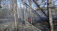 В Корсаковском районе горит трава, Фото: 6