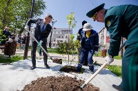 Сквер Таможенников открылся в Южно-Сахалинске, Фото: 2