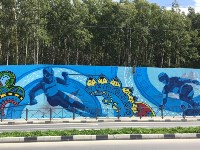 Художники разрисовали стену на улице Горького в Южно-Сахалинске, Фото: 3
