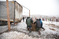 Около сотни благородных оленей доставили на Сахалин, Фото: 38
