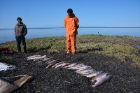 Браконьеров с уловом краснокнижной рыбы задержали на Сахалине , Фото: 2