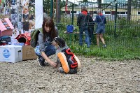 В рамках выставки беспородных собак в Южно-Сахалинске 8 питомцев обрели хозяев, Фото: 219