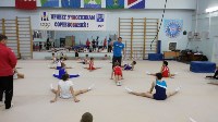 Сахалинских тренеров по спортивной гимнастике учат новым правилам судейства, Фото: 8