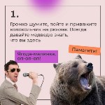 Как спастись от медведя, Фото: 1