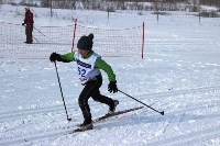 XXIV Троицкий лыжный марафон собрал более 600 участников, Фото: 20