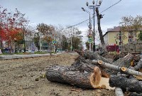 В Поронайске вырубили целую улицу деревьев, Фото: 1