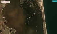 Экологи обвиняют "Эксон" в гибели сельди у берегов Сахалина, Фото: 8