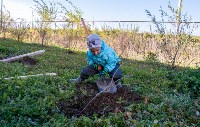 В Новотроицком люди посадили больше 300 деревьев и кустарников, Фото: 3