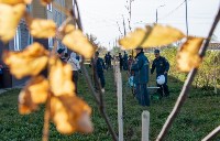 В Новотроицком люди посадили больше 300 деревьев и кустарников, Фото: 1