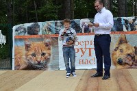 В рамках выставки беспородных собак в Южно-Сахалинске 8 питомцев обрели хозяев, Фото: 244