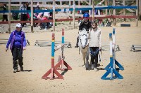 Соревнования по адаптивному конному спорту в Троицком - 2017, Фото: 7