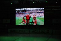 В областном центре состоялся открытый просмотр чемпионата мира по футболу, Фото: 7