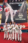 Сахалинцы завоевали четыре медали на всероссийских соревнованиях по тхэквондо, Фото: 3