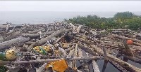 На Курилах рыба не может зайти на нерест в реки из-за забитых хламом устьев, Фото: 2