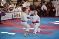 Три сотни юных каратистов сразились за медали турнира в Южно-Сахалинске, Фото: 20