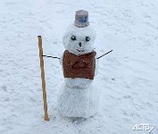 100 снеговиков сделали сахалинские ребятишки на конкурс astv.ru, Фото: 22
