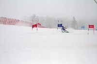 Борьба за кубки области и федерации горнолыжного спорта и сноуборда , Фото: 4