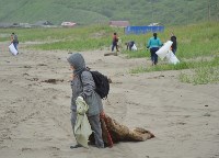 В Садовниках 150 человек очистили от мусора пляж, Фото: 2