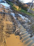 Сахалинцы показали "страшную" дорогу в Тымовском: дети ходят по уши в грязи, взрослые строят мосты, Фото: 7