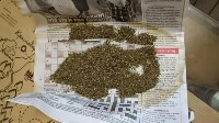 Наркоторговца и его клиента задержали в Южно-Сахалинске, Фото: 8