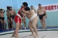 Впервые в истории на Сахалине прошел турнир по борьбе сумо, Фото: 14