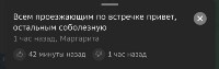 Что сахалинцы пишут в гигантских пробках, Фото: 12
