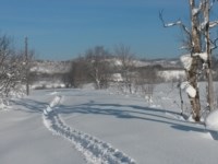 Снег в Чапланово, Фото: 9