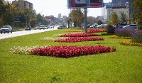 Около 80 тысяч тюльпанов осенью высадят в Южно-Сахалинске, Фото: 3