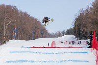 Этап Кубка России по сноуборду, Фото: 40