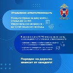 Госавтоинспекция Сахалинской области предупреждает об ответственности за дачу взятки, Фото: 10
