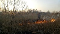 Трава и молодой лес горели в пригороде Южно-Сахалинска, Фото: 4