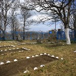 Могилы погибших военных лётчиков привели в порядок в урочище Ольховатка, Фото: 2