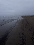 Берег в Песчанском очислили от мазута, Фото: 3