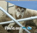 Браун:)