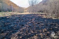Более 20 гектаров выгорело: с начала года в Сахалинской области потушили 41 пал травы, Фото: 6