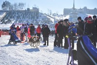  «Амурская метель-2017» , Фото: 3