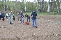 Еще 800 деревьев и 40 кустов высадили сегодня у лыжероллерной трассы в Южно-Сахалинске, Фото: 11