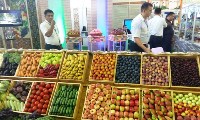 Поставки фруктов и овощей из Узбекистана , Фото: 3