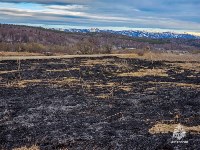 Более 20 гектаров выгорело: с начала года в Сахалинской области потушили 41 пал травы, Фото: 3