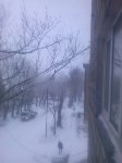 Север Сахалина оказался под властью снежного циклона, Фото: 2
