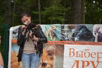 В рамках выставки беспородных собак в Южно-Сахалинске 8 питомцев обрели хозяев, Фото: 149