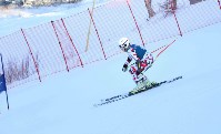 Областные соревнования собрали больше 50 горнолыжников в Южно-Сахалинске, Фото: 9