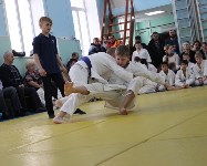 В Южно-Сахалинске пройдет детский командный турнир по дзюдо , Фото: 4