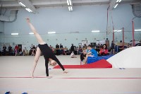 Юные гимнасты из Корсакова празднуют победу в южно-сахалинском турнире, Фото: 5