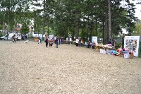 В рамках выставки беспородных собак в Южно-Сахалинске 8 питомцев обрели хозяев, Фото: 239